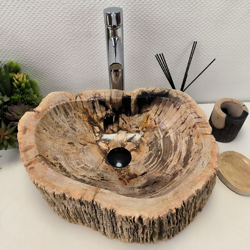 Раковина из окаменелого дерева FossilBasin OD-62121 48*38*15