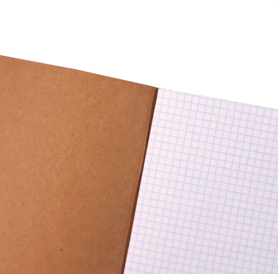 Тетради А5 48л. Скрепка. Клетка-Дивное сияние