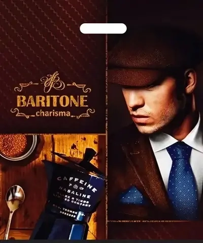 Пакет ПЭ с вырубной ручкой 40х47+6см (45) (Баритон) Интерпак (х50/500)