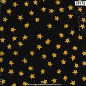 The Wallflowers / Bringing Down The Horse (2LP)