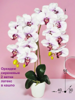 Орхидеи сиреневые 2 ветки латекс в горшке