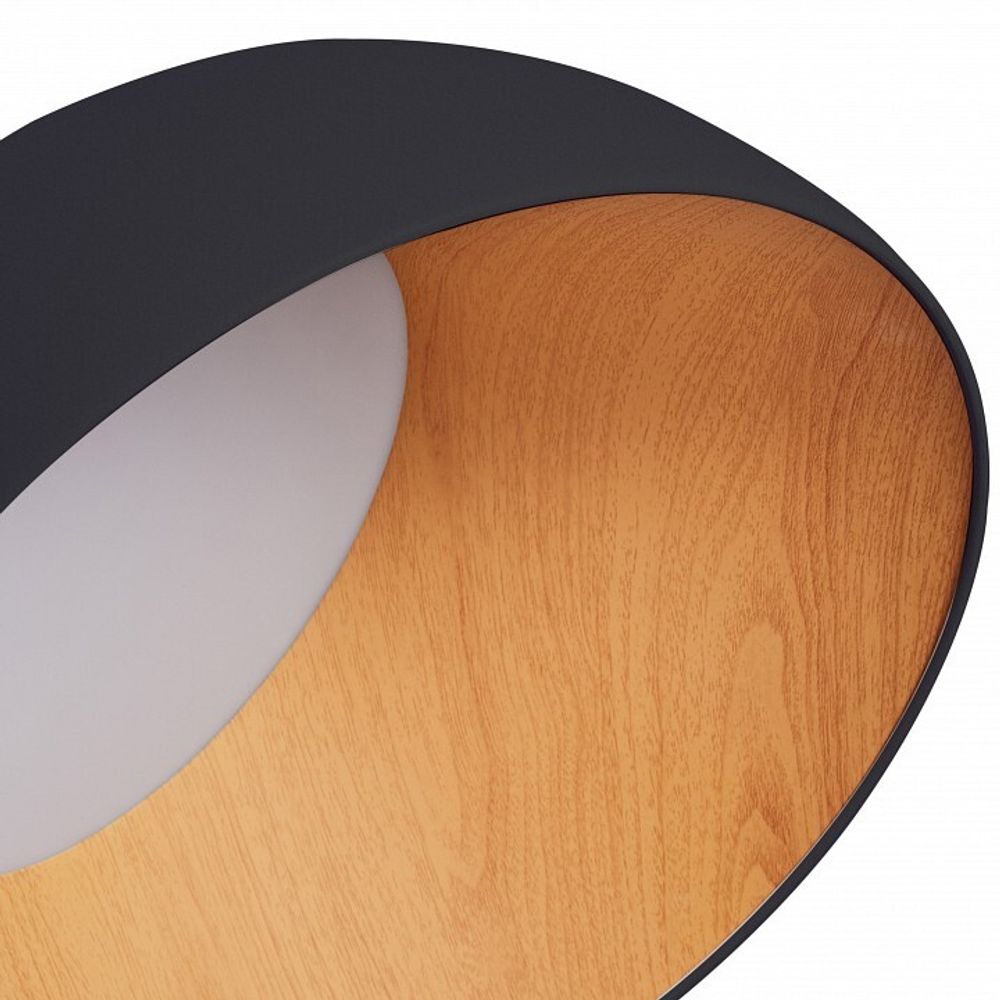 Накладной светильник Zortes Baum ZRS.01243.05