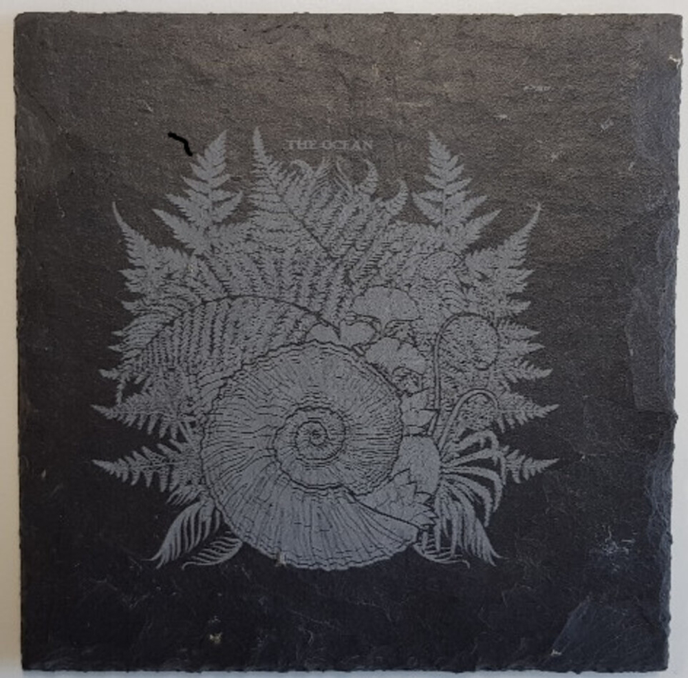 The Ocean Collective / Phanerozoic I: Palaeozoic (Limited Edition)(2CD+DVD)