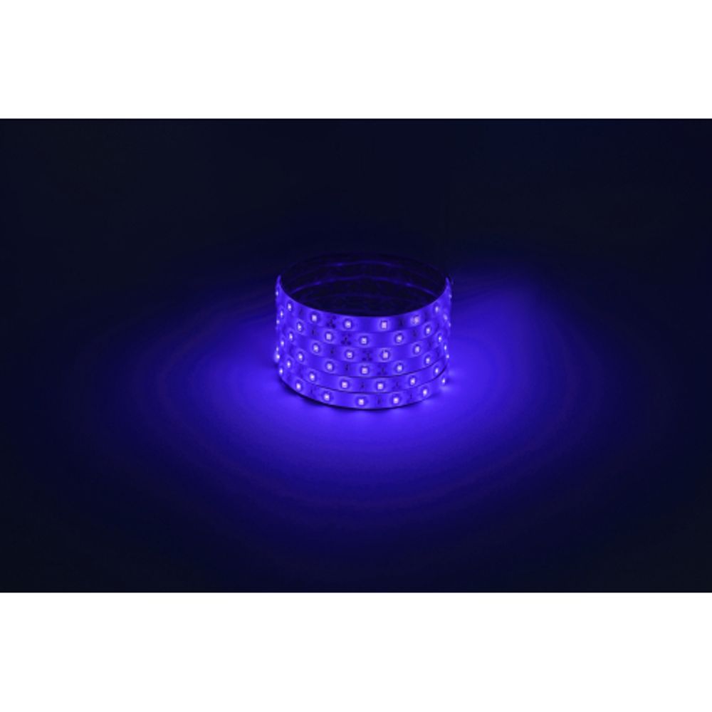 Светодиодная лента ЭРА LS2835-4,8-60-12-B-IP65-1 year-5m синий 1 год | Светодиодные ленты 12В 1 год