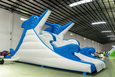 Водная надувная горка «Умный дельфин», 10*4*5 м