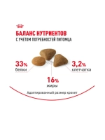 Корм сухой для привередливых взрослых кошек 12 кг