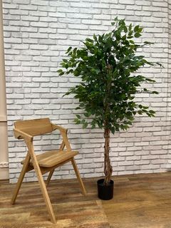 Растение искусственное Фикус Бенджамина 161-011 185см