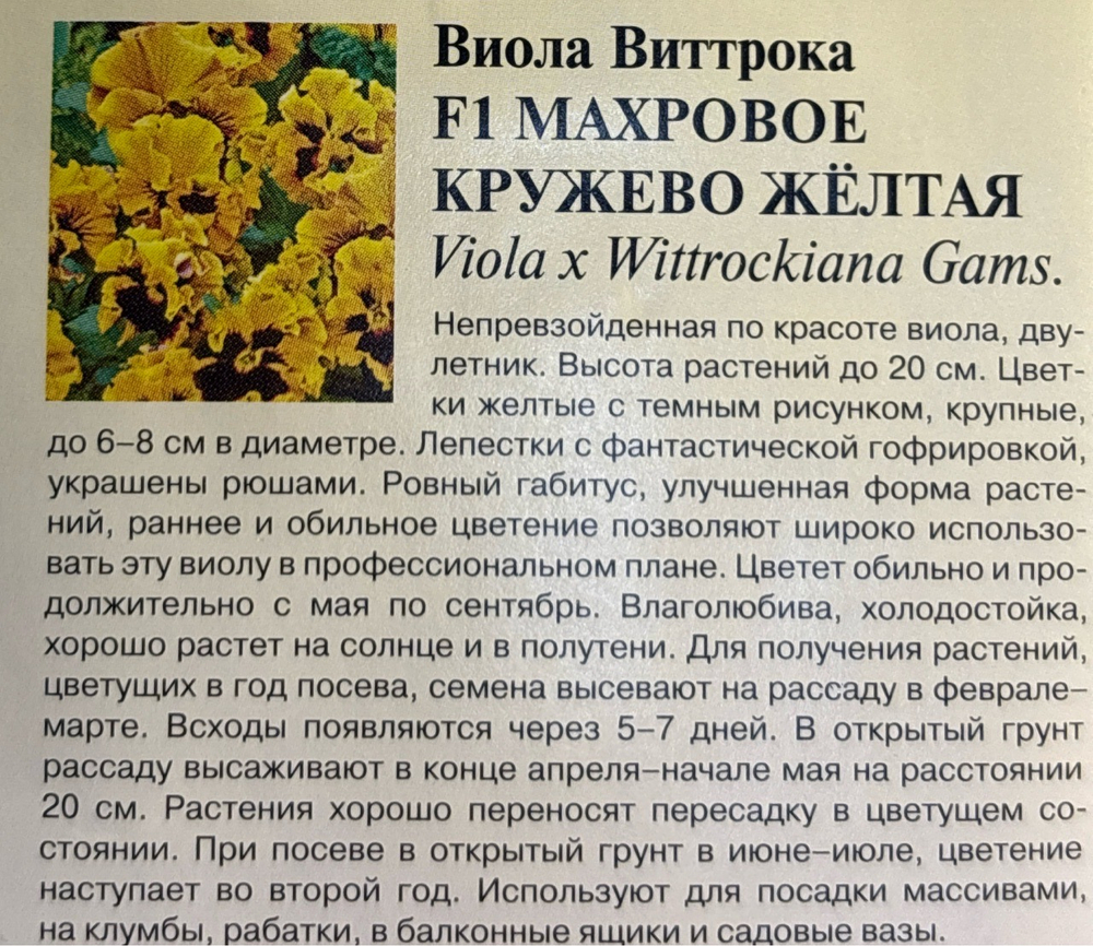 Виола Махровое кружево желтая 5 шт СМЦ-55
