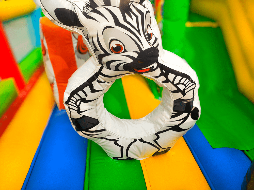 Коммерческий надувной батут «Попугайчики» 6*4*2,8 м