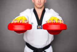 Лапа тренерская ProfSport для Тхэквондо