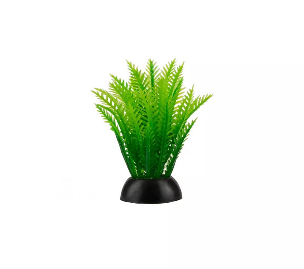 Растение елочка зеленая 4*5см