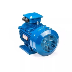 Электродвигатель трехфазный 5АИ 100 L2 IM 1081 5.5 кВт/3000 об.мин