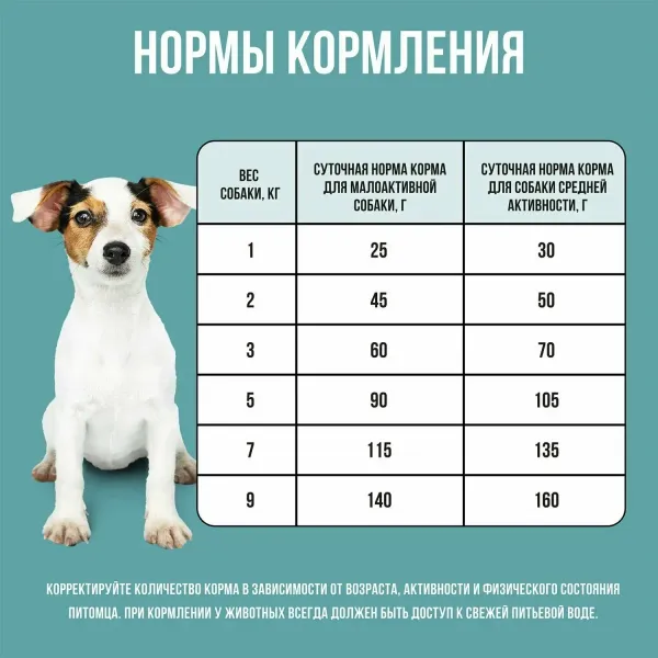 Уценка! Повр.упак. / Сухой корм BOWL WOW для собак мелких пород с индейкой, рисом и розмарином
