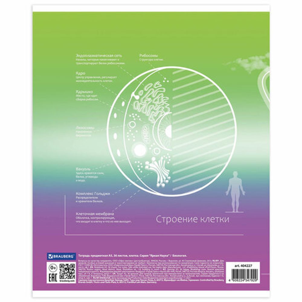 Тетрадь предметная "ЯРКАЯ", 36 л., обложка мелованная бумага, БИОЛОГИЯ, клетка, BRAUBERG, 404227