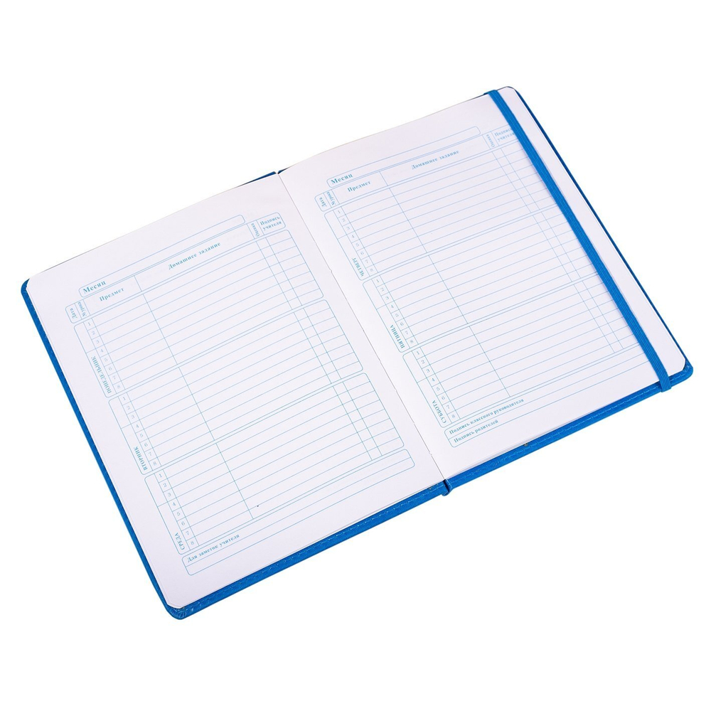 Дневник школьный Alingar 1-11 кл., 48л., 7БЦ, иск.кожа, поролон,тиснение, закругленные углы, на резинке, "Classic style" Blue