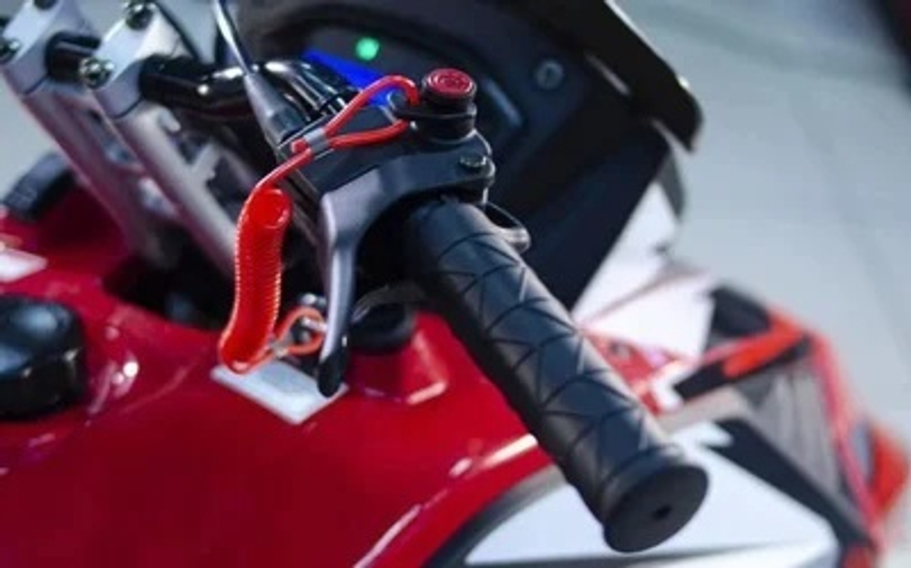 Снегоход ATAKI WD 250