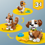 Конструктор LEGO Creator 3in1 31382 Cute Animals: Playful Puppy Dog