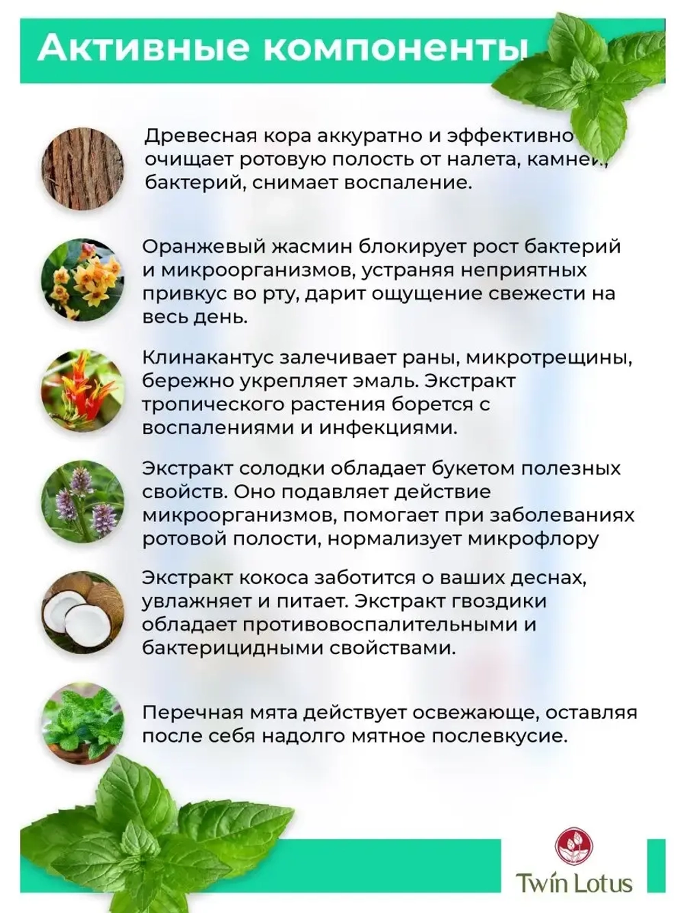 Травяная зубная паста 40г
