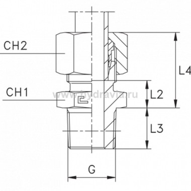 Штуцер FC DS16 BSP 1/2 (в сборе, нерж.)