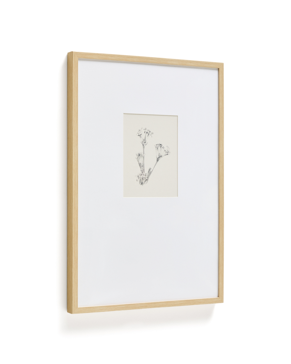 Картина Lirena с ботанической иллюстрацией 50 x 70 см