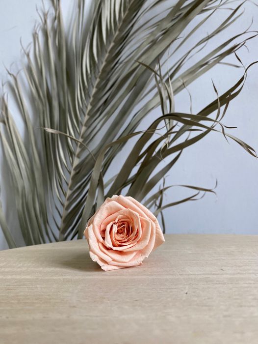 Роза классическая персиковая d=5 см