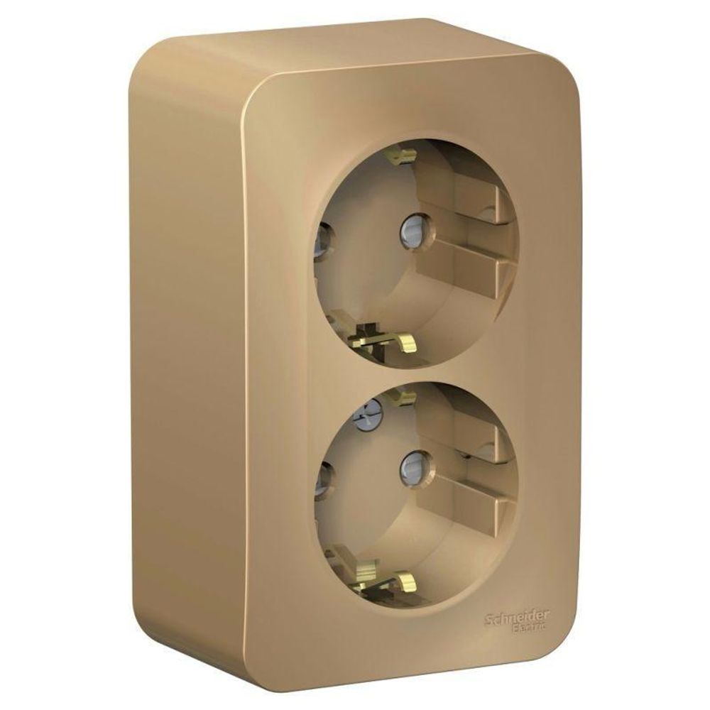 Розетка 2-м ОП Blanca 16А IP20 250В с заземл. защ. шторки с изолир. пластиной титан SE BLNRA011214 Розетка 2-м ОП Blanca 16А IP20 250В с заземл. защ. шторки с изолир. пластиной титан SE BLNRA011214