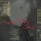 Laurie Anderson – Amelia - LP