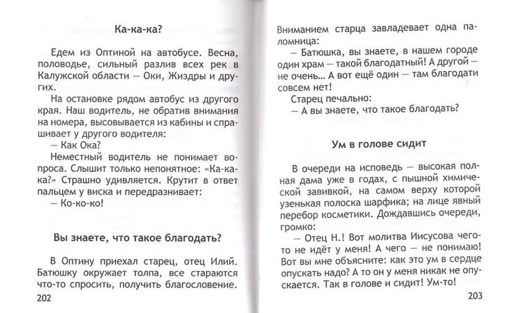 Оптинки. Записки экскурсовода. Ольга Рожнёва