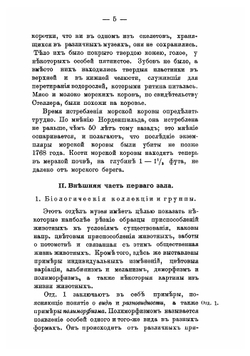 Путеводитель по Зоологическому музею Императорской Академии наук | Нет автора