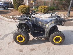 Квадроцикл бензиновый MOTAX GRIZLIK W200