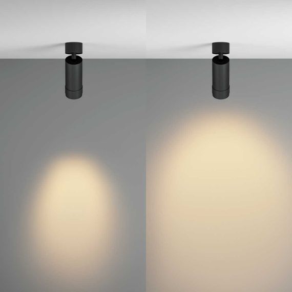 Потолочный светильник Maytoni Technical C055CL-L12W2.7K-Z-B