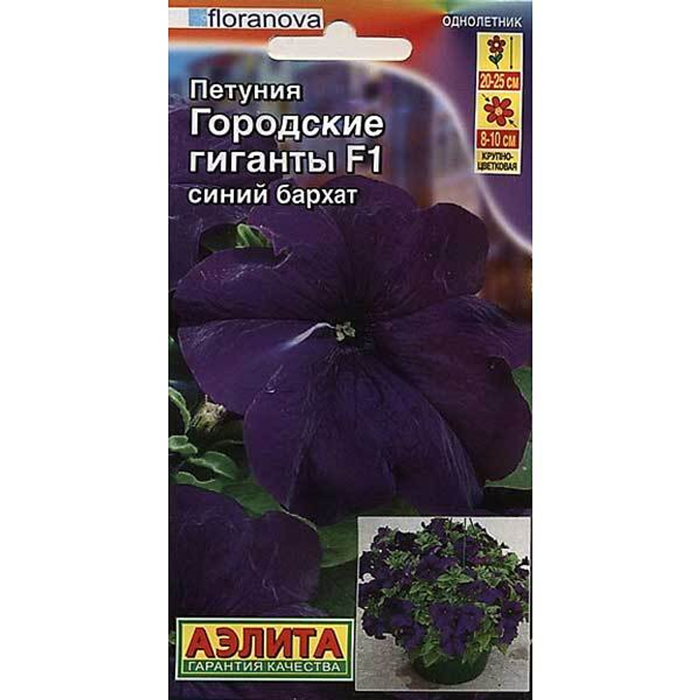 Петуния Городские гиганты синий бархат Аэлита Ц