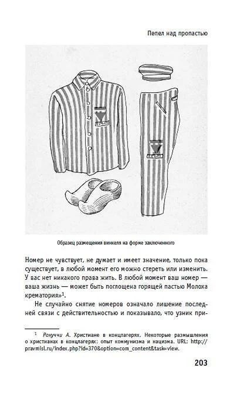 Пепел над пропастью. Феномен Концентрационного мира нацистской Германии и его отражение в социокультурном пространстве Европы середины - второй половины ХХ столетия