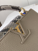 Louis Vuitton Capucines Mini