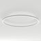 Подвесной светодиодный светильник Arlight SP-Line-Hang-Arc-O3535-D1500-124W Day4000 034013(2)