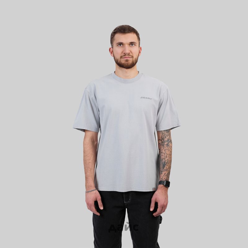 Футболка мужская Dickies Plentywood артикул:DK0A866BD061 - купить в магазине Дайс