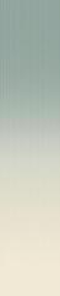 Wow Melange Lake Talc 10.7x54.2