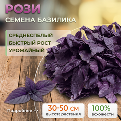 РОЗИ семена базилика (Enza Zaden | Alexagro)