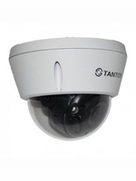 Видеокамера IP TSi-Veco50FP