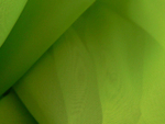 Ткань Вуаль однотонная  зеленое яблоко арт. 324913