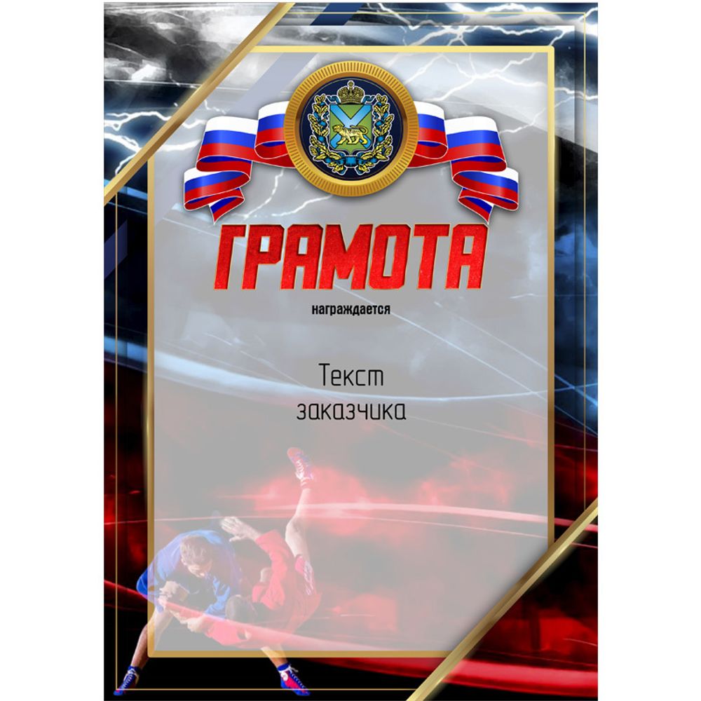 PNDiploma-053 с текстом