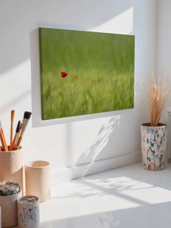 Картина на стену 40 X 50 Цветок в поле