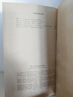 Мужественный всадник