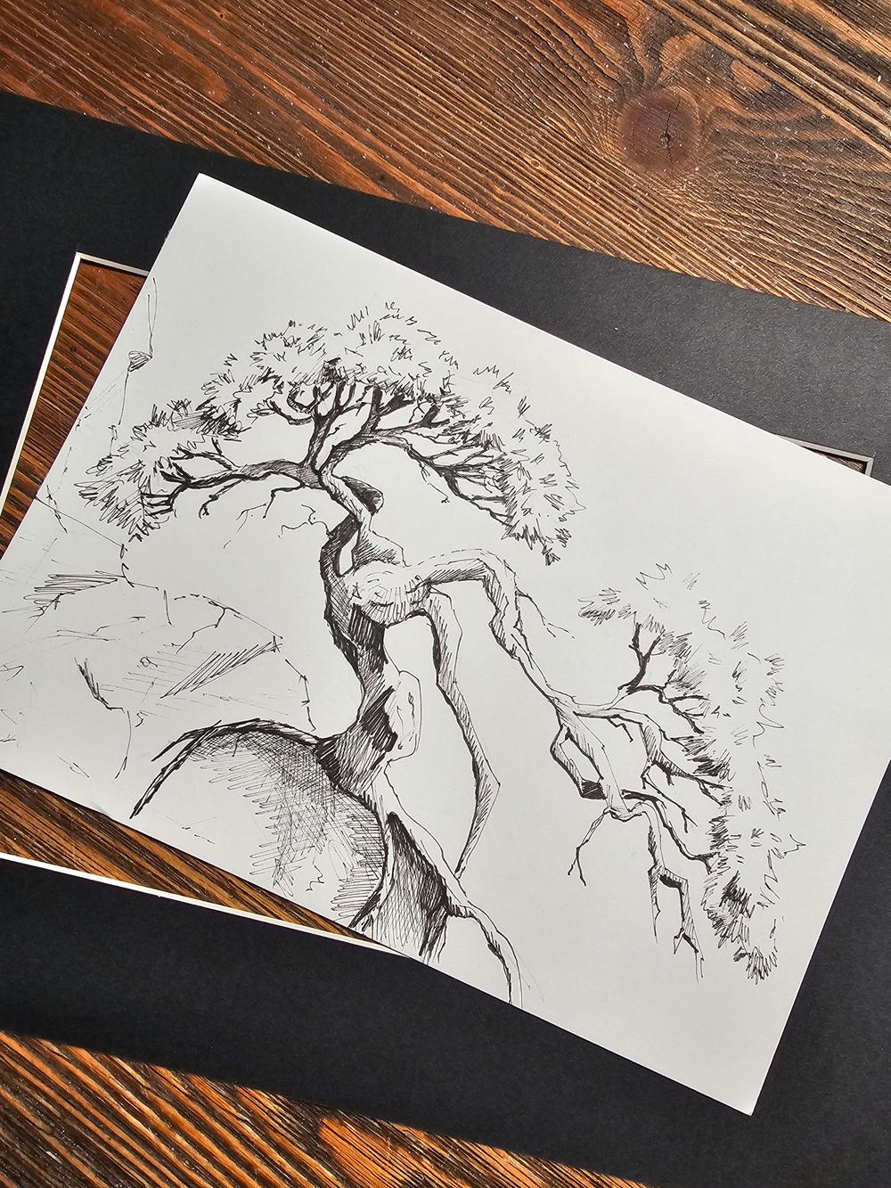 Картина, графика в паспарту 21х30 см на стену для интерьера "Сосна на утесе"