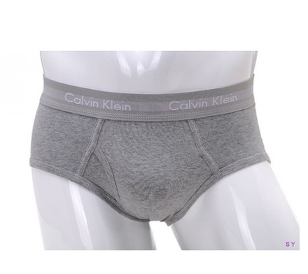 Мужские брифы серые Calvin Klein 365 Brief Grey CK025