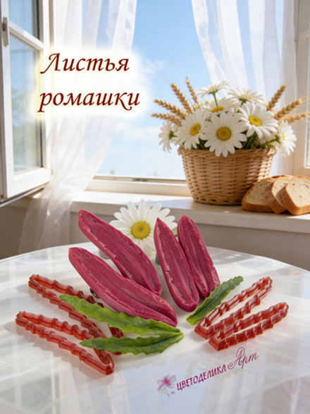 Листья ромашки