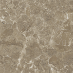 Saloni brown PG 03 v2 450х450 (1-й сорт)