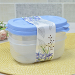 Набор контейнеров 2шт 0,65л "Цветущий сад"