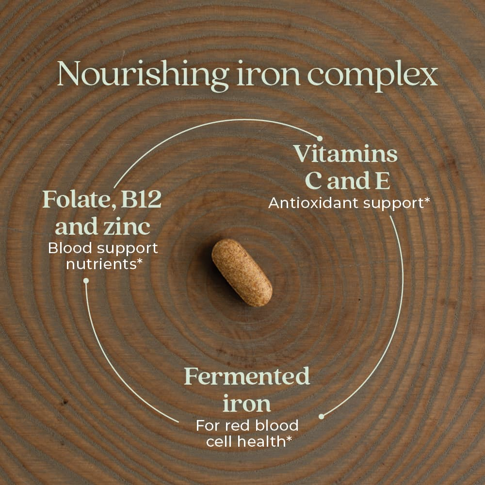 New Chapter, Комплекс ферментированного железа, 90 вегетарианских таблеток