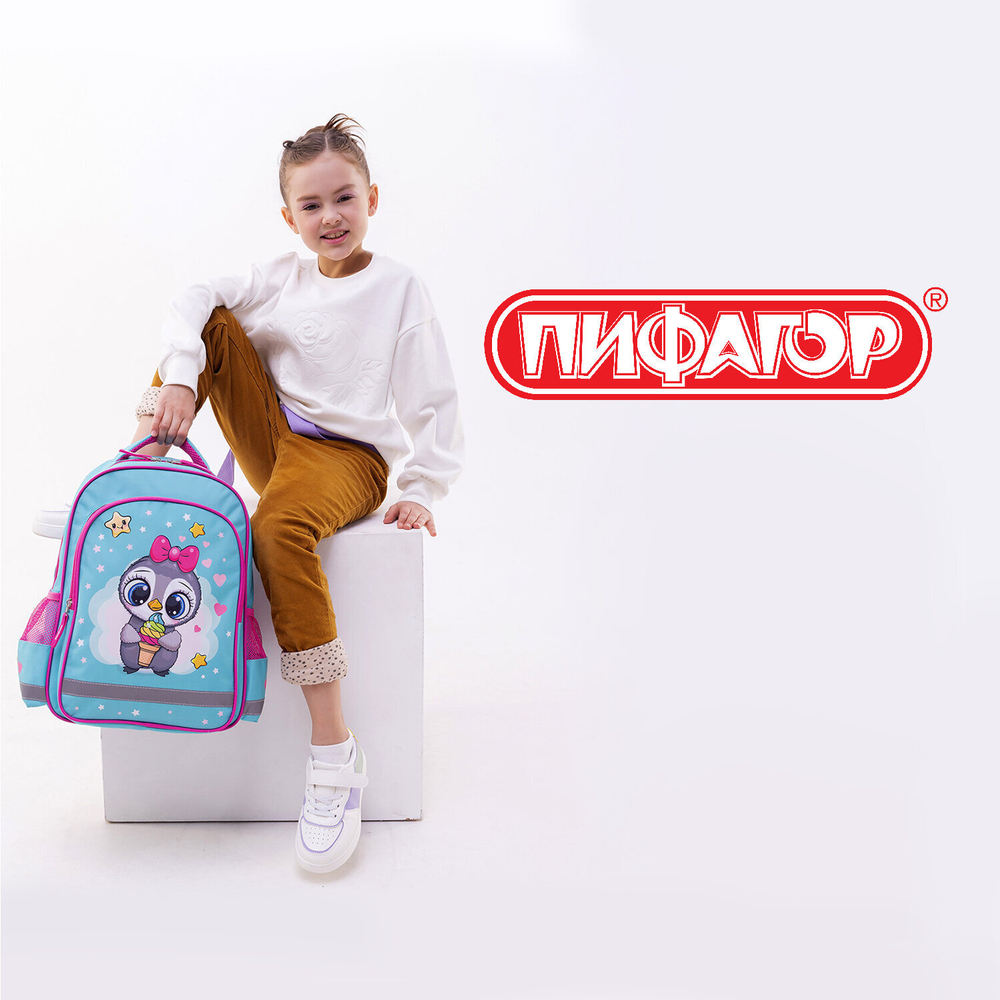 Рюкзак ПИФАГОР SCHOOL, 1 отделение, 3 кармана, "Smart penguin", 38x28х14 см, 271403